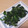 きらり流れ星's cooksnap of when they made 青菜の中華風辛子和え.