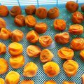 ☆てっぺい☆'s cooksnap of when they made 梅干作り！少量からチャレンジ♪めっけ.