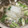 ゆずちき's cooksnap of when they made 一番おいしい! なめこのみぞれ鍋.