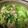 spika918's cooksnap of when they made 冷凍肉でも軟らかく！舞茸入り肉野菜炒め.