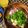 日々の泡's cooksnap of when they made 〇パクチー好き必見！！超カンタン蒸し鶏〇.