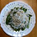 yumelon88's cooksnap of when they made めんつゆで簡単★しらすピーマン.