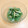 ★ぴよぴよ501★'s cooksnap of when they made きゅうりとさしみこんにゃくの胡麻和え.