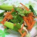 Susie845's cooksnap of when they made 時短！鶏肉きゅうり人参で「とりあえ酢」♬.