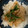 く～にゃんにゃん's cooksnap of when they made 失敗しない豚しょうが焼き.