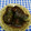 ととろ＆めい's cooksnap of when they made 簡単♪なすの煮浸し.