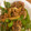 ひろ0922's cooksnap of when they made 簡単☆ピーマンとひき肉の炒め物.