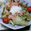cookpad1年生's cooksnap of when they made さっぱり!野菜とツナのとろろうどん♪.
