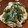 スンダラヘ's cooksnap of when they made 簡単！長芋と梅干しでさっぱりおつまみ♪.