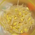 ムッチムチ's cooksnap of when they made もやしレモン　の作り方.