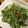 大阪のカピバラくん's cooksnap of when they made トマトとキュウリと水菜とツナのサラダ.
