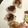 クックZ8J4H4☆'s cooksnap of when they made お節☆鶏ももひき肉のレンコン入りつくね.