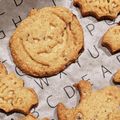 harutani's cooksnap of when they made カカオニブの簡単クッキー☆バター卵無し.