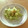 pali's cooksnap of when they made セロリのさっと炒め.