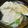 §ゆきっつぁん§'s cooksnap of when they made 美味しすぎ！ワンタンスープ☆.