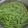 まゆみきママ's cooksnap of when they made サツマイモ茎の下処理.