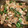 クックDERGN7☆'s cooksnap of when they made 簡単♪豚肉とピーマンの甘辛生姜炒め.
