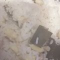 クックQD81I1☆'s cooksnap of when they made 絶品田舎めし！秋の味覚！落花生ごはん.