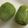 らんち☆'s cooksnap of when they made キウイの剥き方.