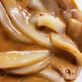 クックLHKZDU☆'s cooksnap of when they made イカの塩辛　　自家製.