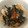 クックFML1ZN☆'s cooksnap of when they made はらこ飯 （宮城県の郷土料理）.