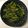 クック78R779☆'s cooksnap of when they made 空芯菜とにんにくの食べラー炒め.