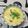 おはなすき's cooksnap of when they made きのこ粥*°.