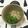 おはなすき's cooksnap of when they made シソ納豆　混ぜるだけ♪.