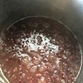 小平市's cooksnap of when they made 小倉あん＊こしあん♪☆シャトルシェフ☆.