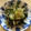 ピーナッツ子♪'s cooksnap of when they made きゅうりとわかめの酢の物.