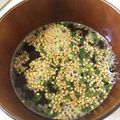 もょん's cooksnap of when they made 釜揚げうどんの出汁(ぶっかけうどんにも).