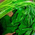 ルぴあ's cooksnap of when they made 【基本】ほうれん草の下処理.