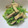 hitomiさん's cooksnap of when they made さつまいもの茎のきんぴら.