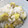 クックHTLFGV☆'s cooksnap of when they made つやつや&美味しい♪ わが家の 栗ご飯.
