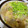 わかぞ～'s cooksnap of when they made 冬瓜のふわとろ卵とじ.