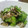 ぽぽじろう's cooksnap of when they made 早くて簡単♪なすときゅうりのお漬物.