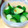 peteco's cooksnap of when they made 絶品!！　超簡単きゅうりの浅漬け.