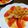 peteco's cooksnap of when they made たっぷり！香味ねぎだれのよだれ鶏.