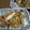 まゆま〜ゆ's cooksnap of when they made イカとネギのしょうが醤油いため.
