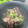 ぷーとんR's cooksnap of when they made 簡単！鮪の煮付け.