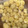 mocoann430's cooksnap of when they made 生栗の冷凍保存.