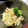 cafesuki's cooksnap of when they made レンジ★豚肉とキャベツのマヨしょう油炒め.