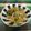 龍青空ママ's cooksnap of when they made 小松菜ともやしの煮浸し.