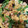ももちゃん3887's cooksnap of when they made モロッコいんげんのエビ卵炒め.