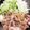 レヲtaro's cooksnap of when they made 男子が絶賛！人気店の豚の生姜焼き.
