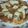 にこまんま's cooksnap of when they made 小麦粉のトルティーヤ.