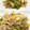 あや　ぱん's cooksnap of when they made 簡単☆経済的〜もやしと長ネギの挽肉炒め〜.