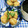 ととろ＆めい's cooksnap of when they made エビと鶏挽きしんじょうの素麺揚げ.