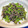 やよい・M's cooksnap of when they made しその実の塩昆布和え.