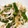 ma2kaboch's cooksnap of when they made 中華くらげと蒸し鶏のあえ物.